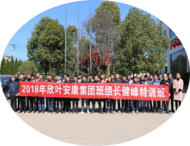 银河app手机版下载APP下载-银河app手机版下载2026最新版