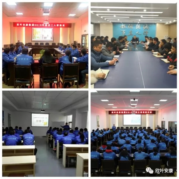 银河app手机版下载APP下载-银河app手机版下载2026最新版