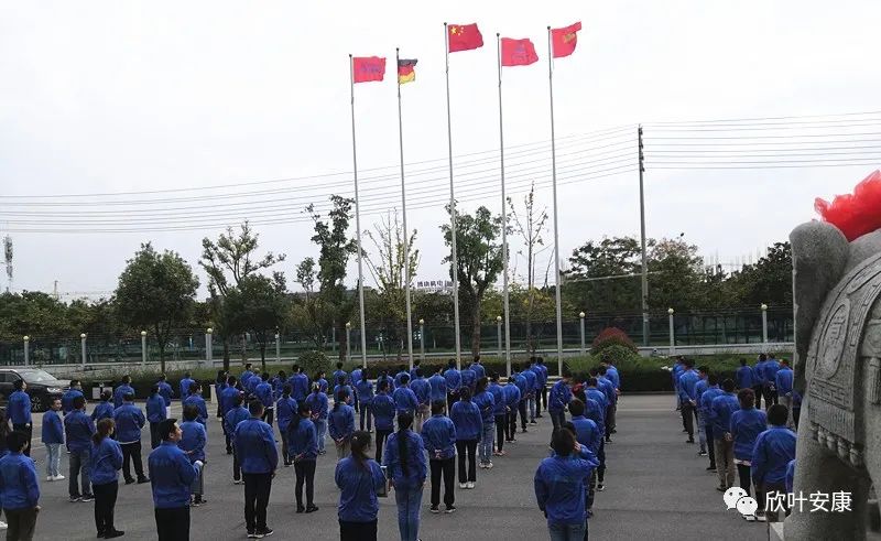 银河app手机版下载APP下载-银河app手机版下载2026最新版